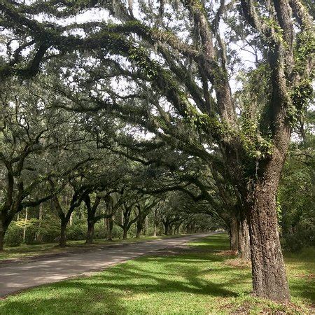 wormsloe tripadvisor.